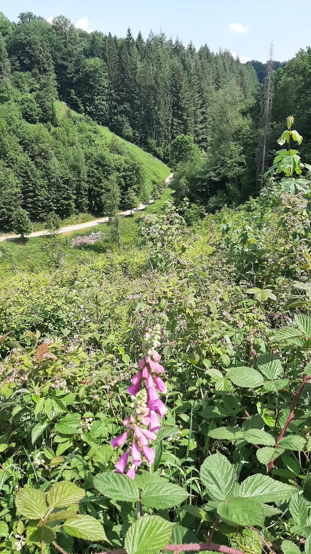 Cottage for 4 people in Saint-Léger Ma Tiny Gaumaise